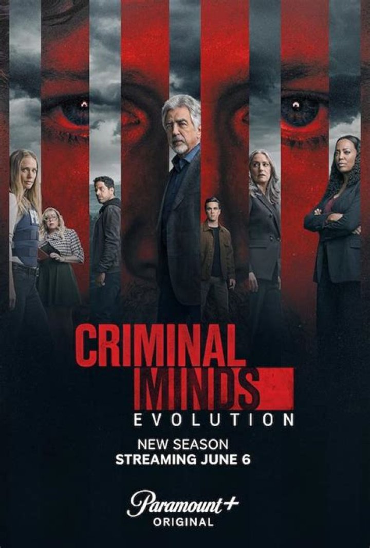 What does APB stand for in criminal minds?