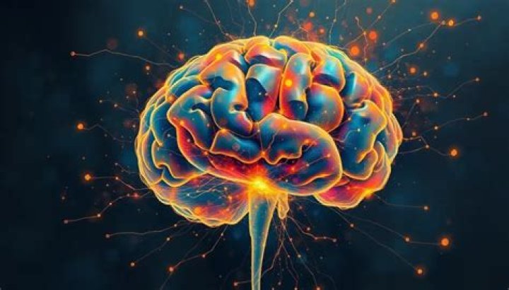 What does darkness do to the brain?