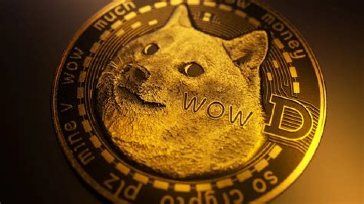 What does Elon plan to do with Dogecoin?