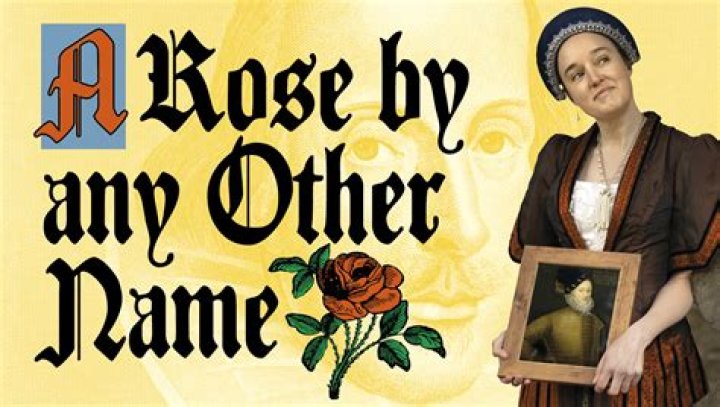 What does it mean a rose by any other name is still a rose?