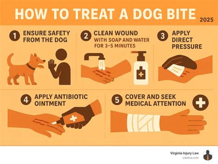 What does it mean when a dog bites your hand?