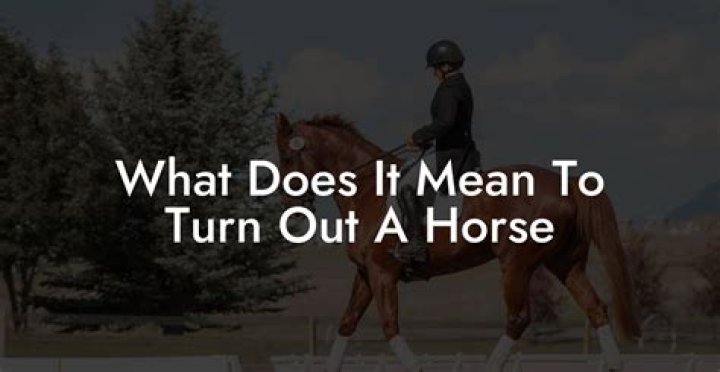 What does it mean when a horse shows you his teeth?
