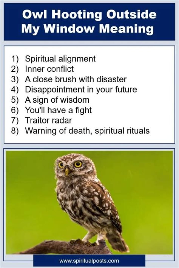 What does it mean when an owl is outside your window?
