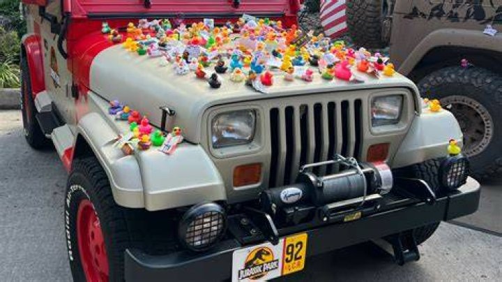 What does it mean when someone is ducky?
