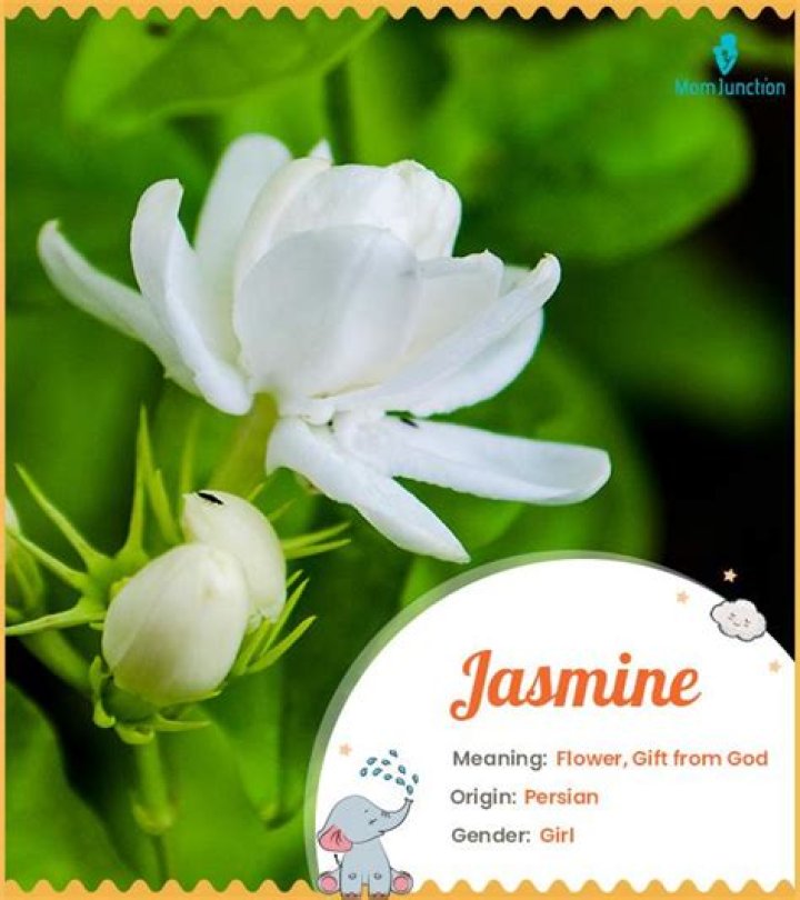 What does jasmine mean to God?