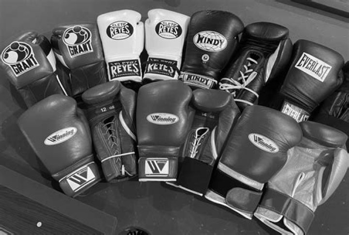 What does P mean in boxing?
