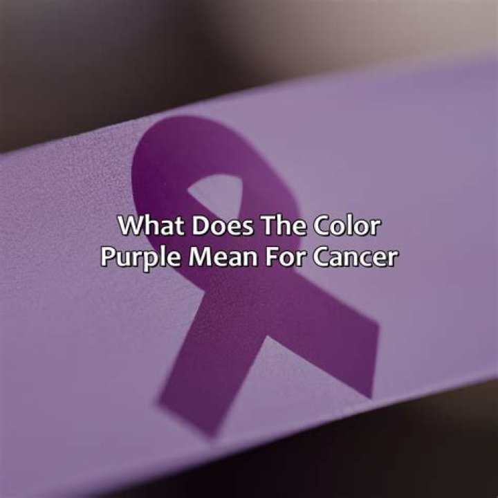 What does purple mean on a flag?