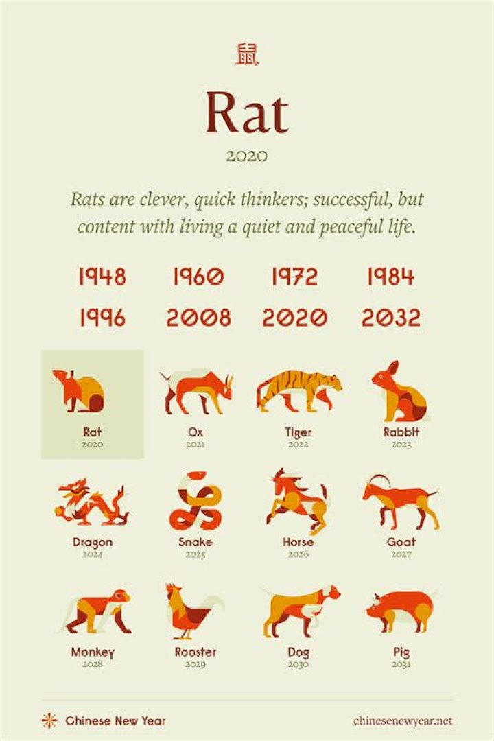 What does seeing a rat symbolize?