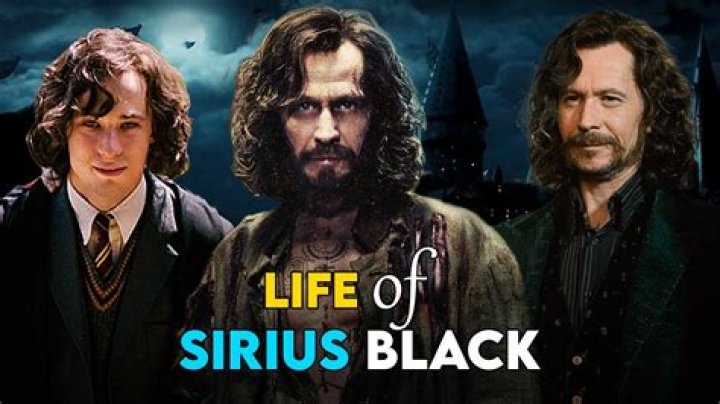 What does Sirius Black's wand say?