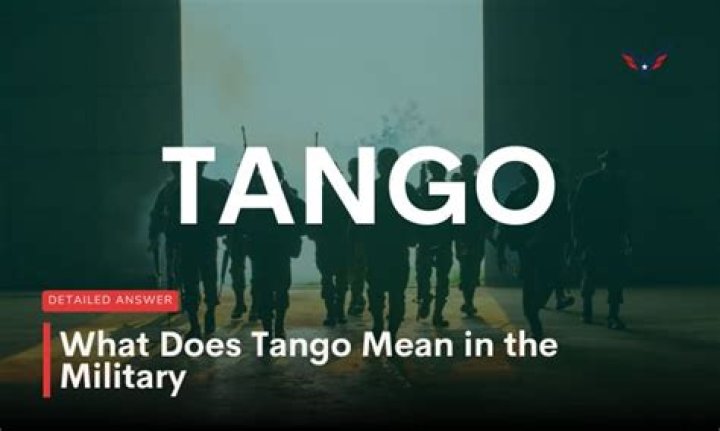 What does Tango Mike mean?