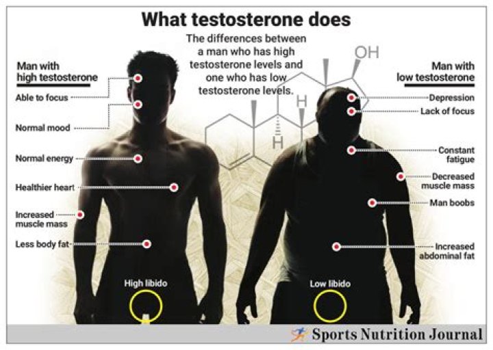 What does testosterone do to a man?