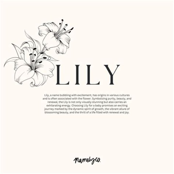 What does the name Lily mean?