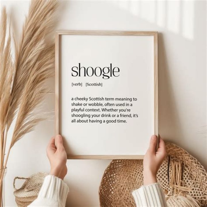 What does the Scottish word Shoogle mean?