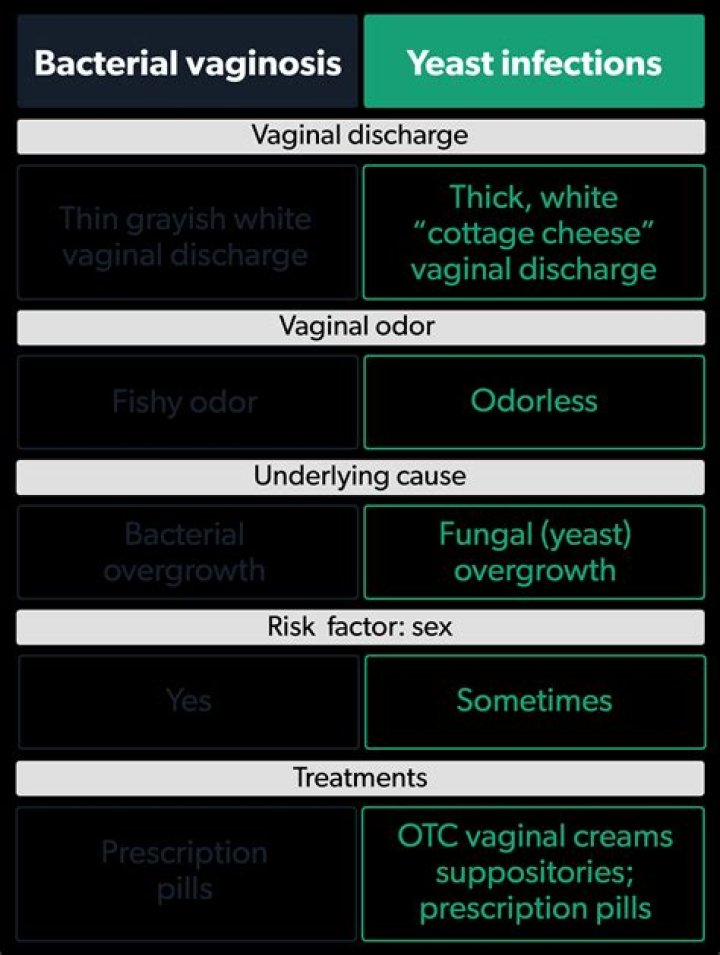 What does yeast infection look like?
