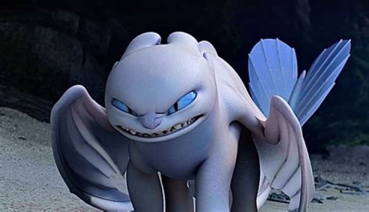 What dragon class is the Light Fury?