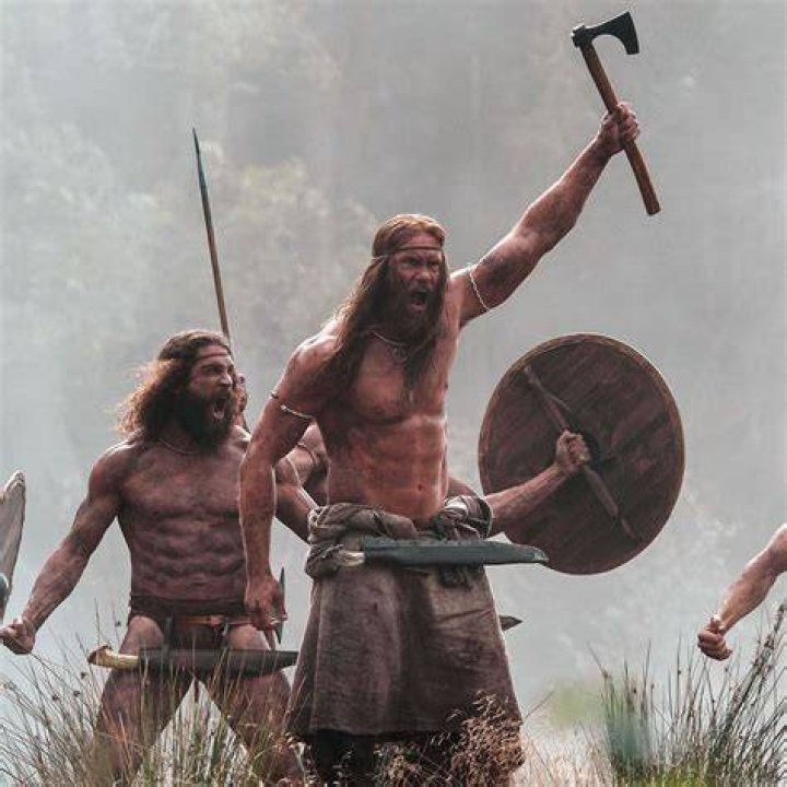 What drug did Viking berserkers use?