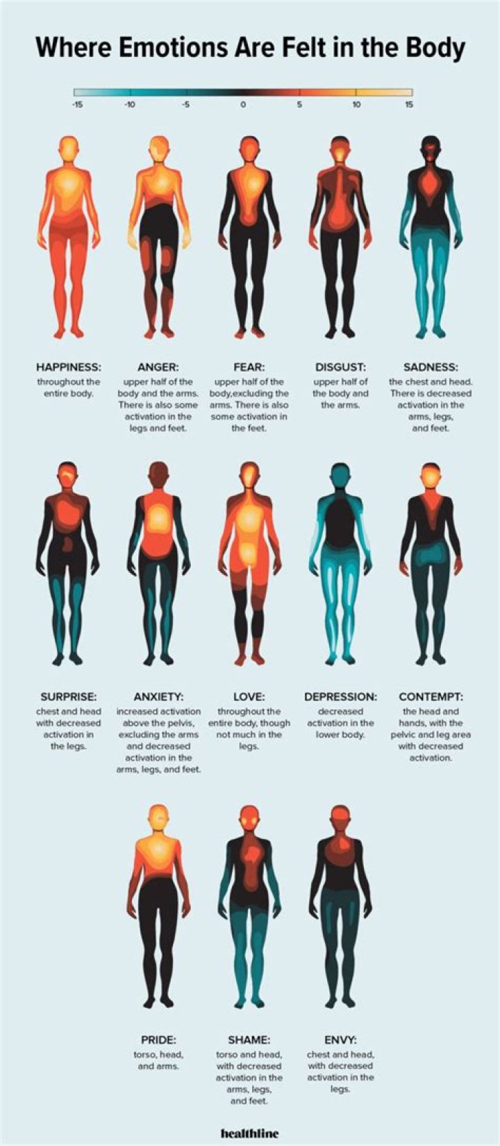 What emotions are stored in the thighs?