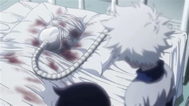 What episode is Neferpitou defeated?