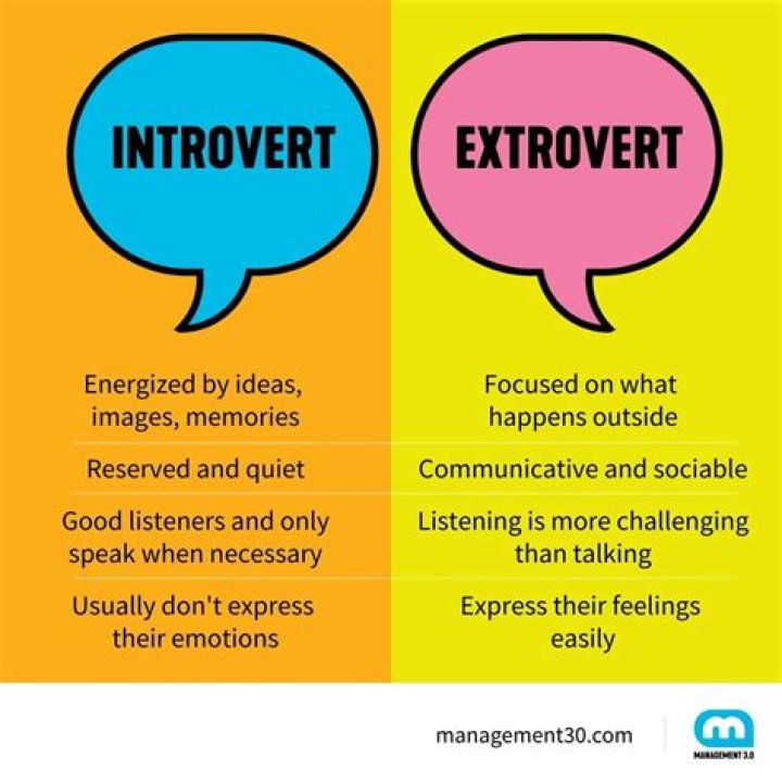 What extroverts dont understand?