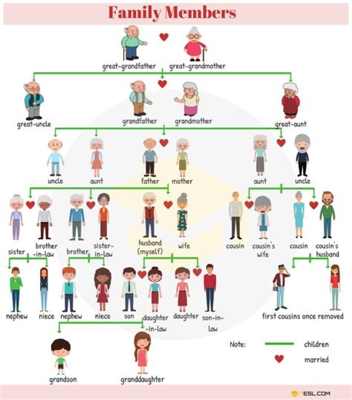 What family members do together?