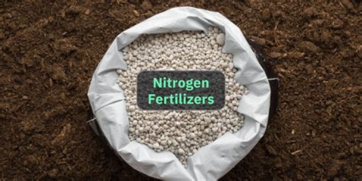What fertilizer has the most nitrogen?