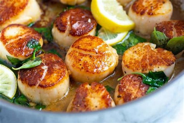 What fish taste like scallops?