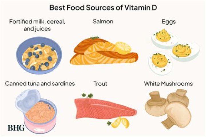 What food is best for humans?