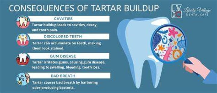 What foods cause tartar?