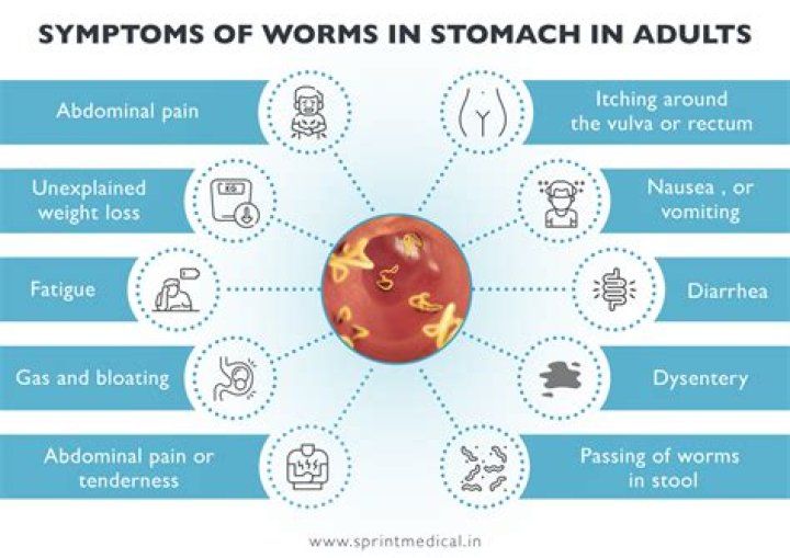What foods cause worms in humans?