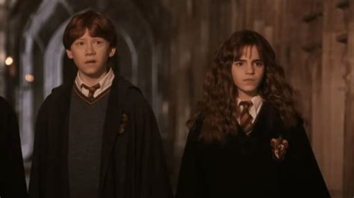 What form did Hermione's Boggart take?