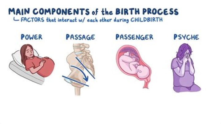 What gas is used during childbirth?