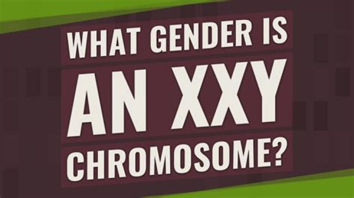 What gender is an XXY chromosome?