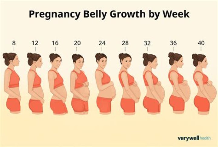What gets bigger when pregnant?