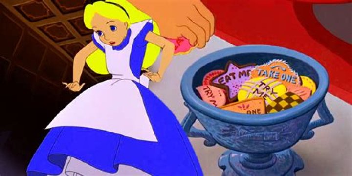 What happens after Alice ate the cake?