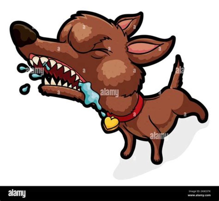 What happens if a dog goes under water?
