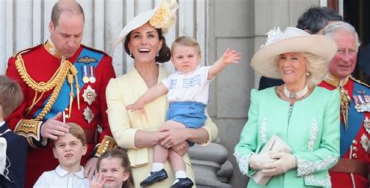 What happens if twins are born in the Royal Family?