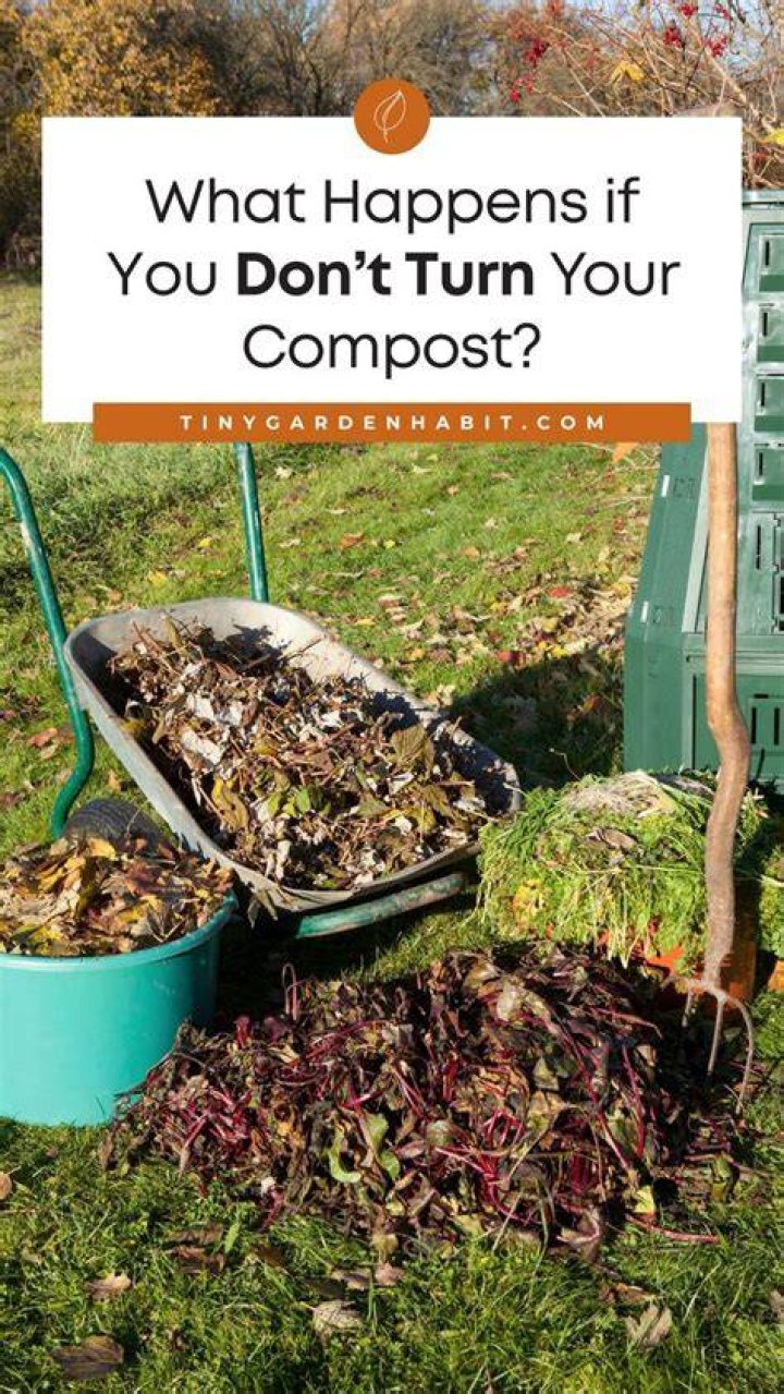 What happens if you don't turn compost?