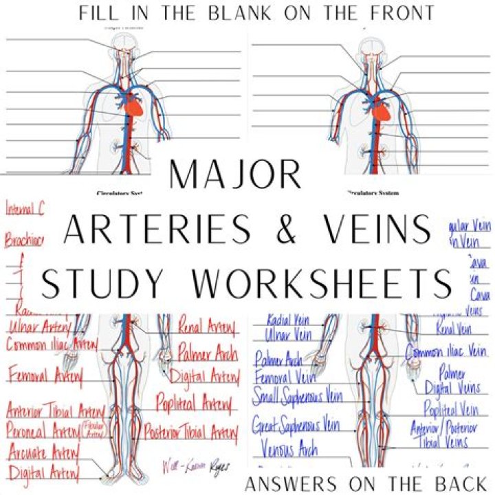 What happens if you draw blood from an artery instead of a vein?
