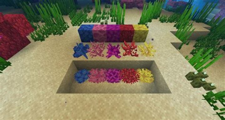 What happens if you get coral in your skin?