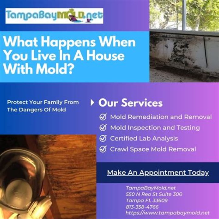 What happens if you live in a house with mold?