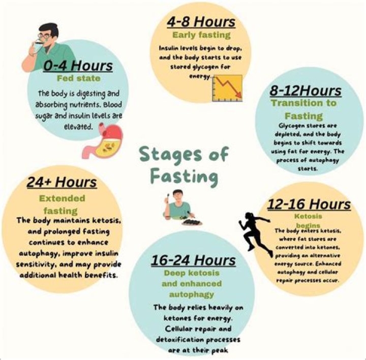 What happens to your body when you fast for 20 hours?