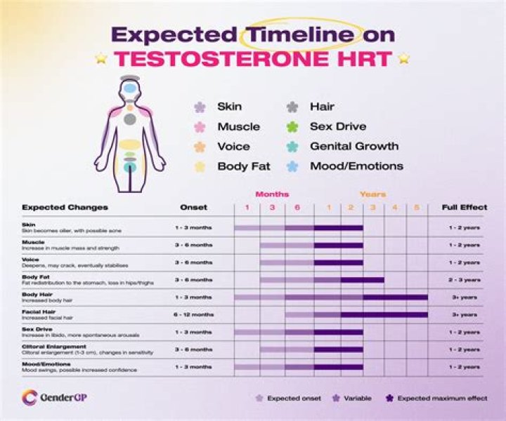 What happens when a man starts taking testosterone?