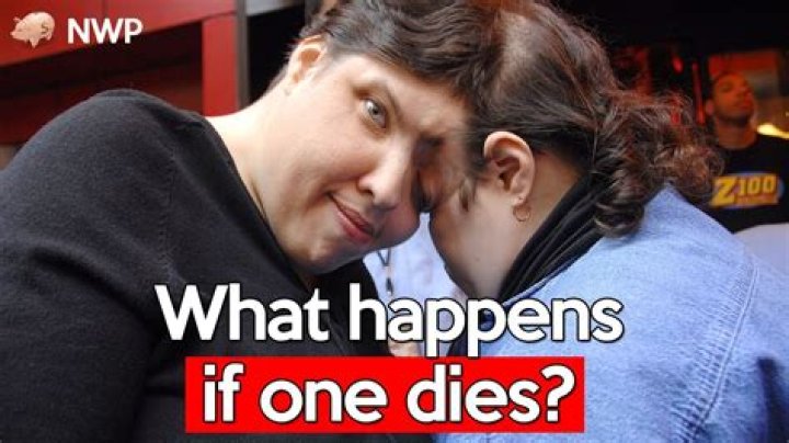 What happens when a Naga dies?