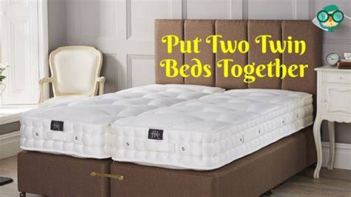 What happens when you put 2 queen bees together?