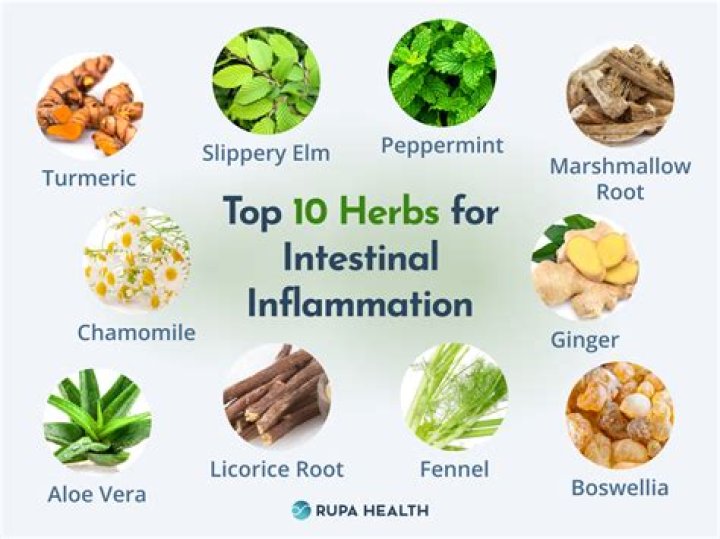 What herbs heal stomach lining?