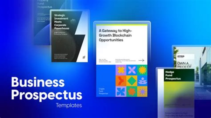 What is a company prospectus?