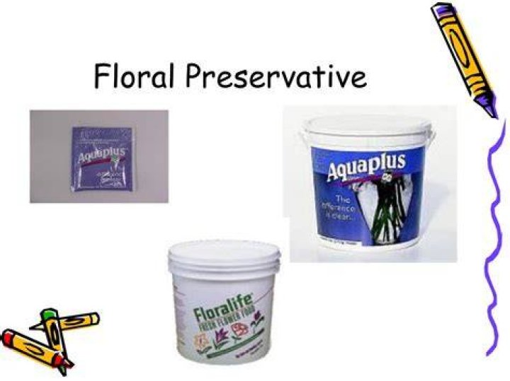 What is a floral preservative?