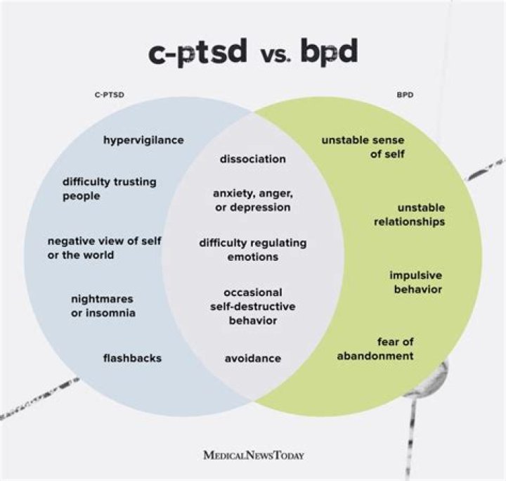 What is a mother with BPD like?