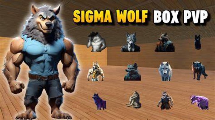 What is a sigma Wolf?
