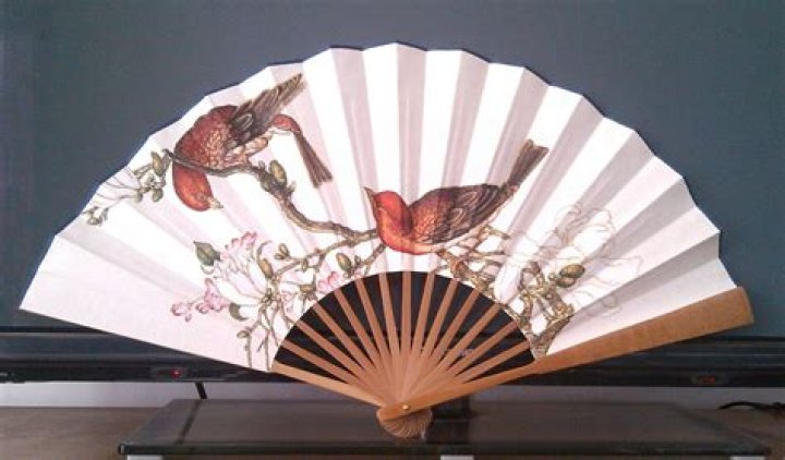 What is Chinese fan?